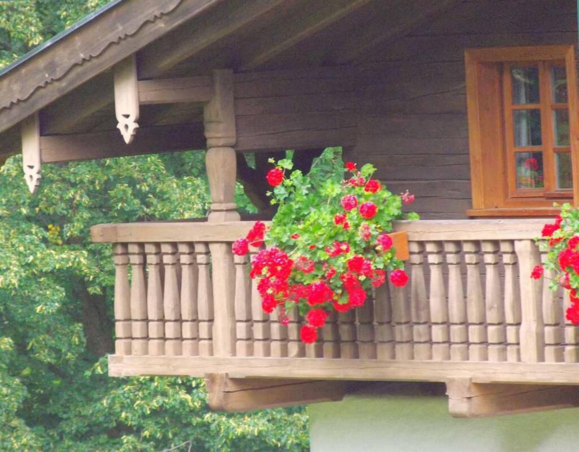 Ferienpension Posthof Waldmünchen エクステリア 写真