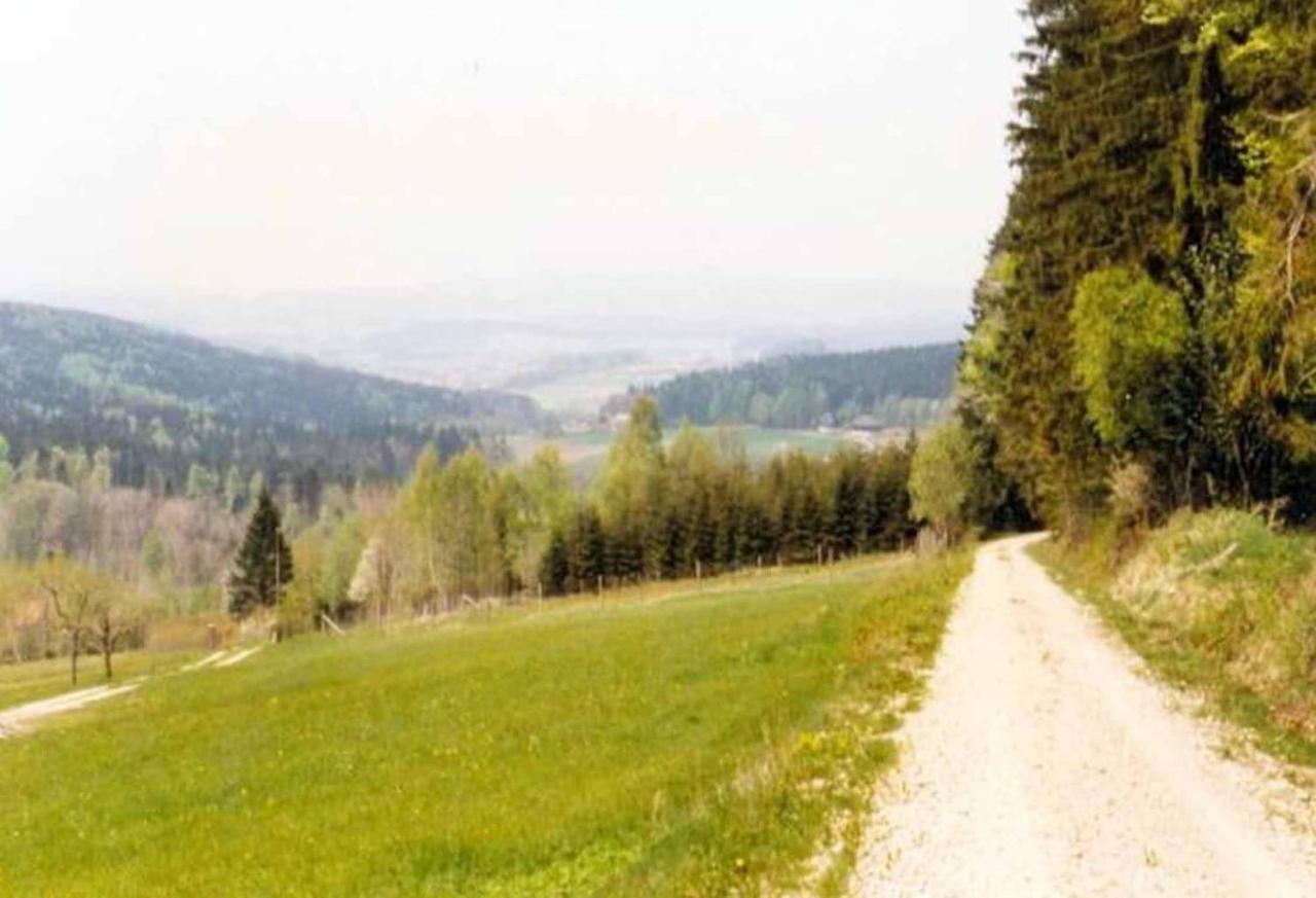 Ferienpension Posthof Waldmünchen エクステリア 写真